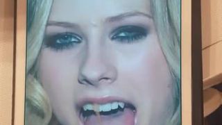 tribute Avril Lavigne