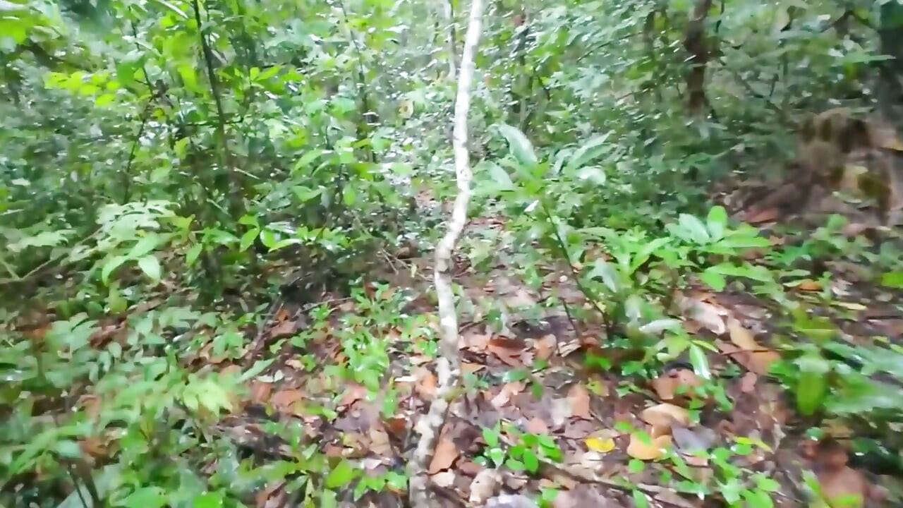 Thai Teenagers get Lost in the Forest and get Horny, so they have Sex.