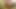 Threesome with DP for mom with two young friends of her step son