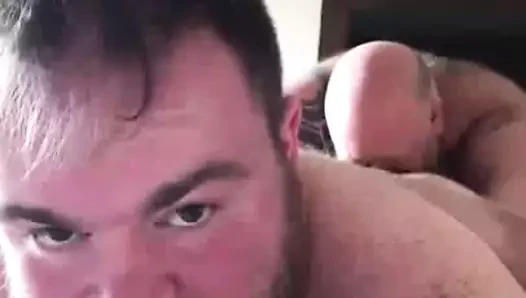 Orso papà scopa il suo ragazzo