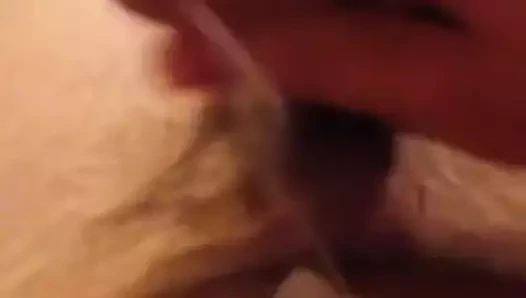 Genç İskoç döl