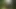 Bicycle with dildo riding outdoors through the forest