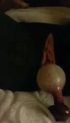Getting it good with her new blow up dildo