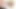 Seksi öğrenci anal yırtık file çorapla sikilirken fışkırtıyor ve sarkıyor
