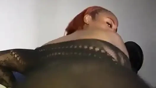 This Pussy Is Here for U