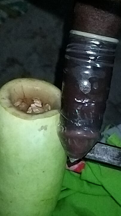 Sex with gourds