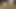1月12日SfmとBlenderポルノコンピレーション-2022