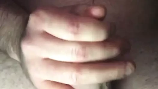 Brent kriko kapalı1
