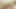 Trans Moaning Loving Black Dick