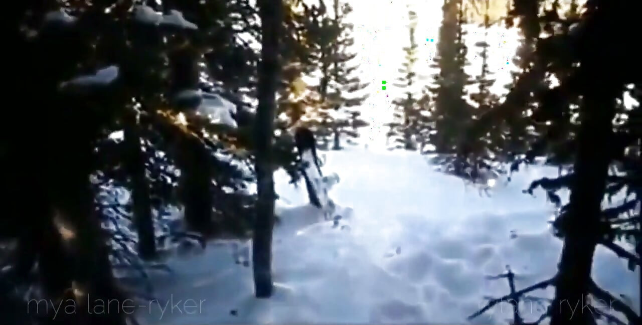 Narciarstwo, korytarz i obciąganie przy drodze