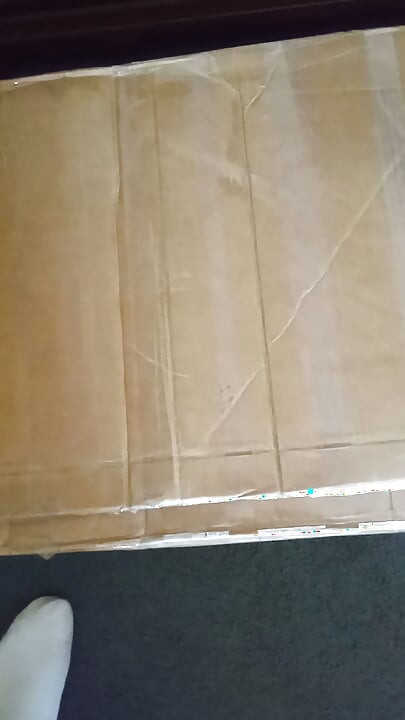 胖美女大屁股开箱视频（可可皮 Yl158 娃娃）