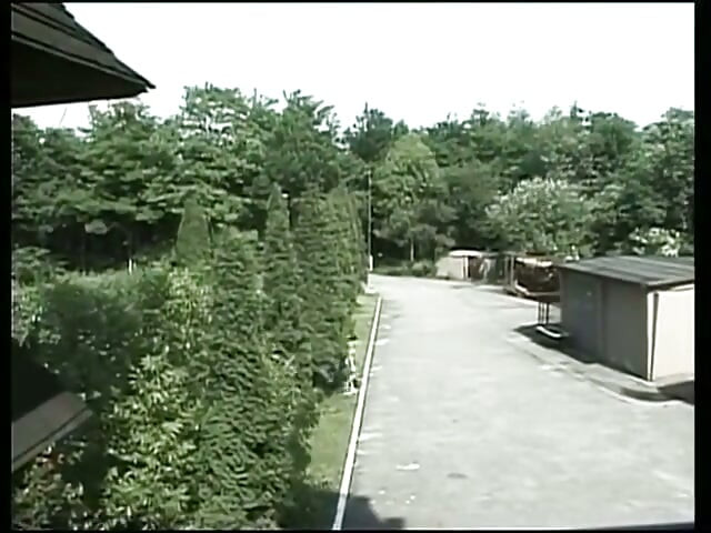 Among Friends, You Can Also Watch Sometimes...