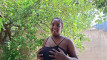 Pregled videozapisa