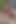 Sounding His Dick with a Huge 30 Cm Dilator. No Cumming Till I Decide