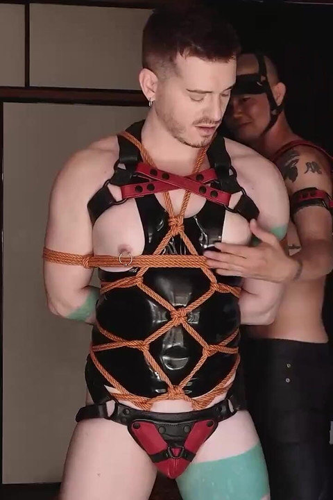 Axelabysse Harnessed