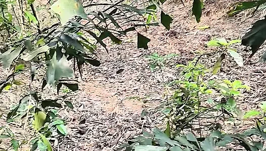 Stille schönheit meines gartens