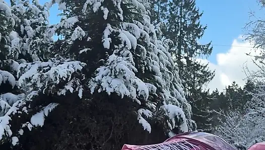 Снежные приключения