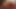 Tall women and tiny girl height comparison