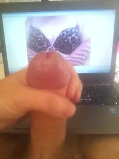 new cum tribute