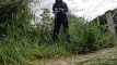 Video pregled