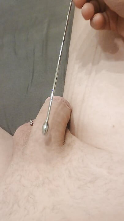 Sounding cock