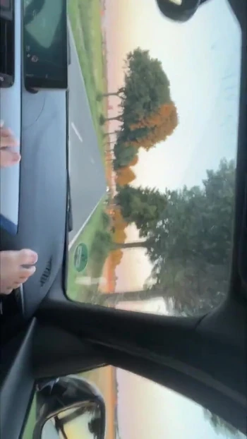 Spectacular moment from "German twink boy jerks off in moving car and cums"