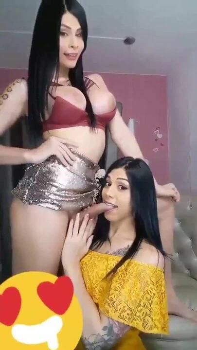 Shemale Hardcore Sex 131