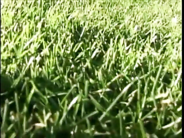 Brunette teen gets her hairy pussy licked before big cock drills its way