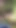 Captivating moment from "Desi bahu lifted her clothes in the outdoor jungle and put her finger in her pussy and showed her brother-in-law is yearning for sex by showing her brother-in-law my fat ass."