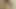 Hint kız yasemin çıplak hayranları ile Noel ve yeni yıl kutluyor ve kedi gösteren