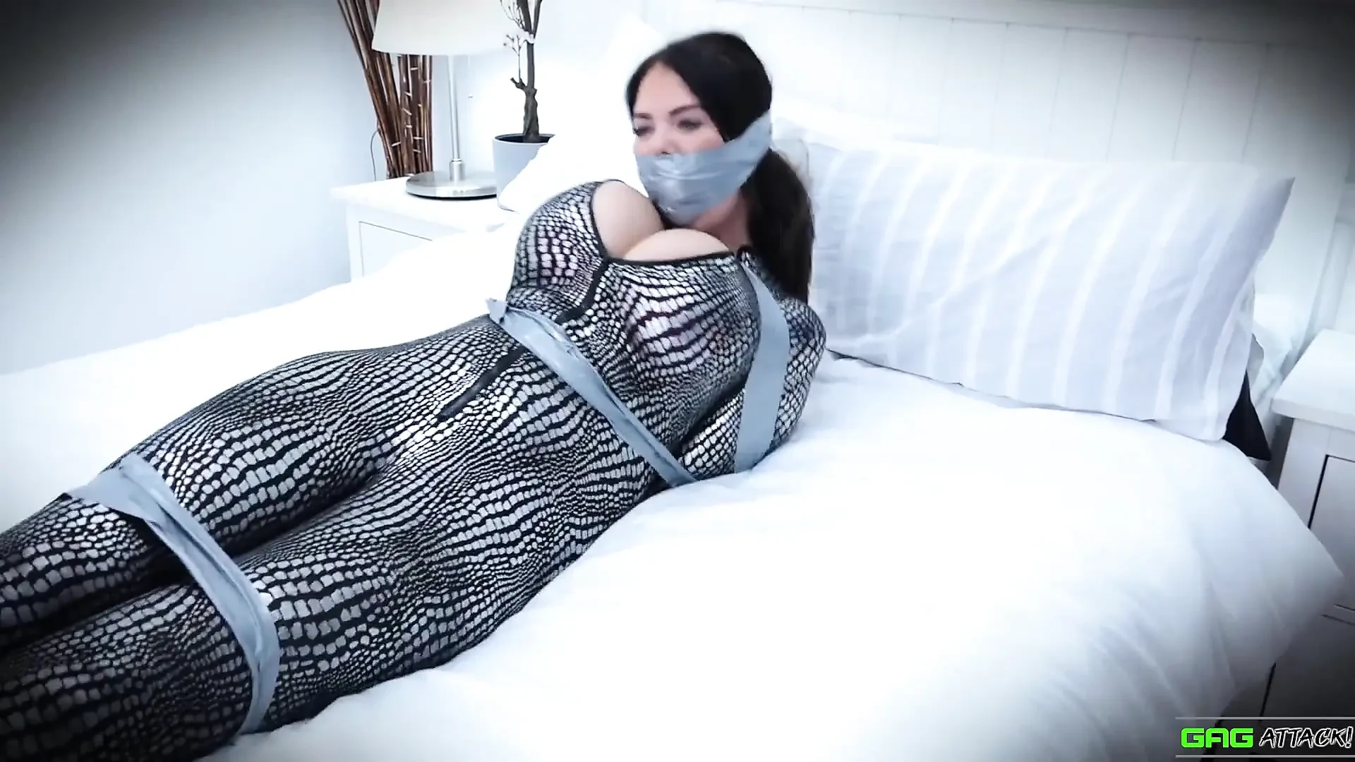 Terri - 被录像带束缚的猫窃者