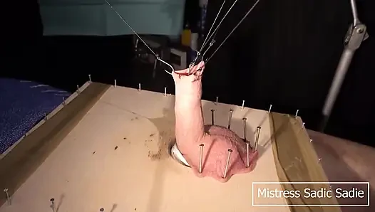 Хардкорный пытка яиц и члена с рыбными крюками и иголками, часть первая