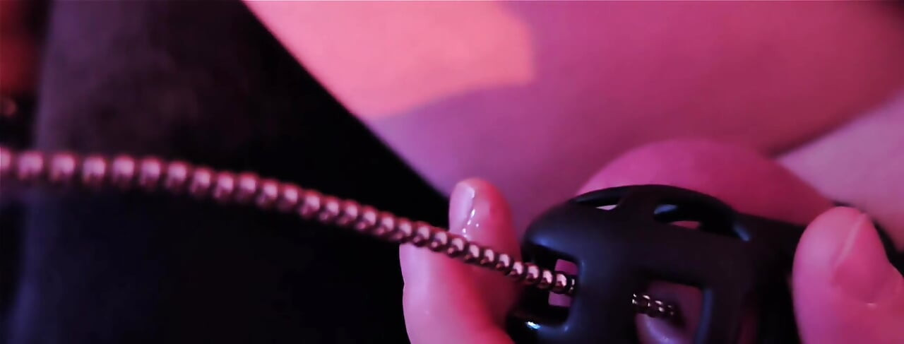 Sondierender transvestã¤t