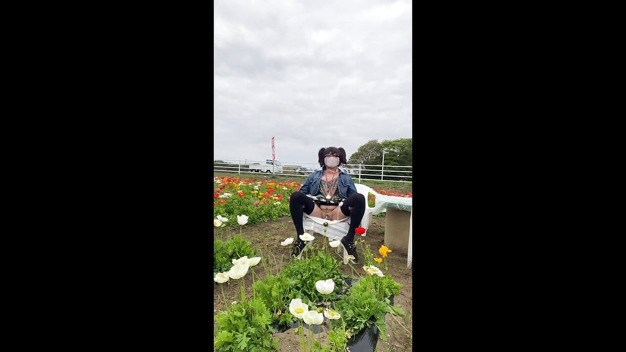 Nr 195 Exponera min fitta i ett blomfält