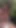 Emotional moment from "Hot young twink unleashes his massive cock, stroking it hard in a steamy public forest adventure!"