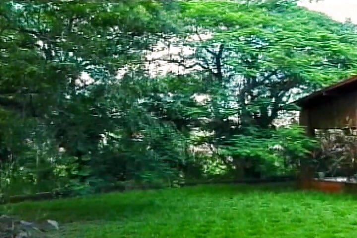 Teenage Transsexuals 12