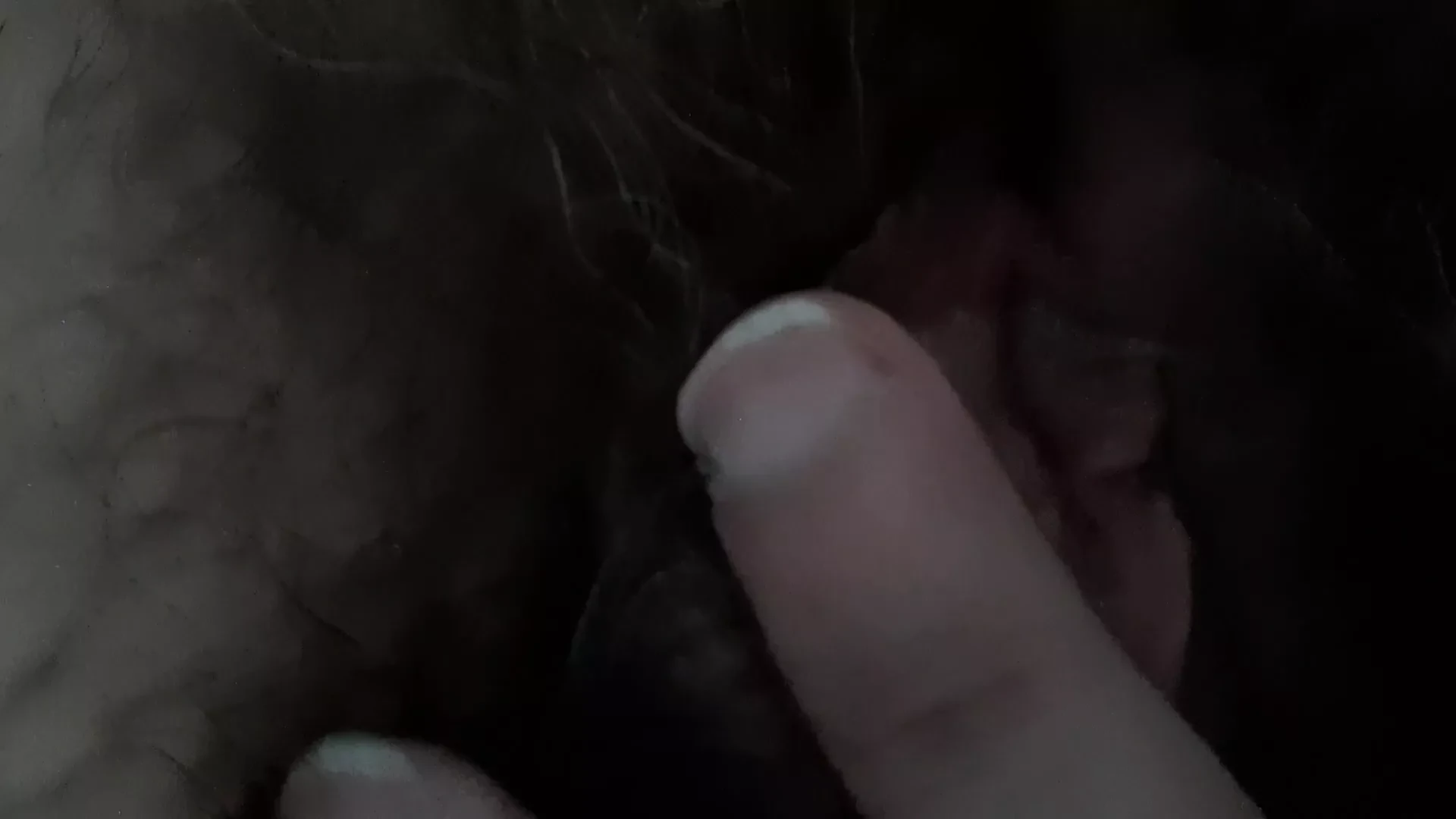 Hairy pussy
