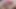 Most Complete BNWO Legend: Extreme Sissygasm at end plus Ballbusting and Anal Training