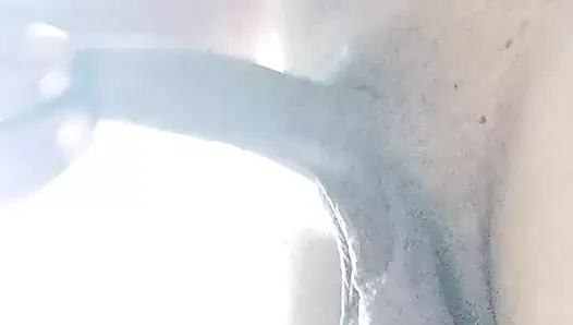 büyük desi horoz