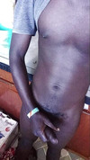 Video pregled