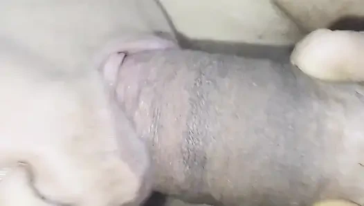 Stepbrother and Stepsister First Video Real Record in Home Indian