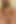 Squirting Teen Brunette Left Oozing Creampie Cum From Lucky Older Guy