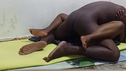 Bos terangsang