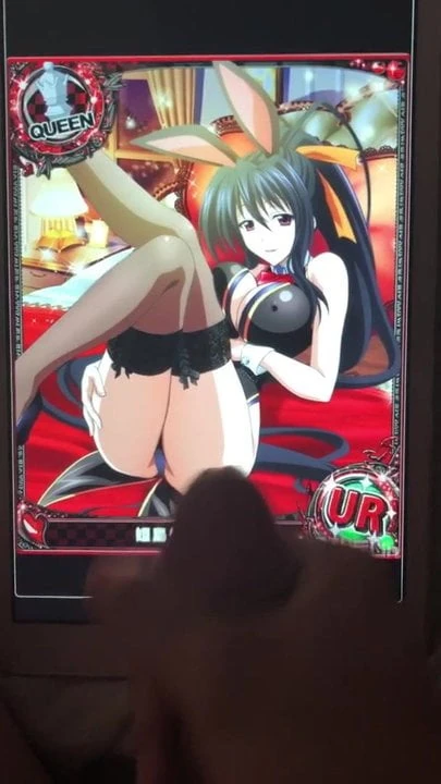 akeno himejima cumtribute（高中 dxd）