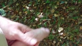 公共の森で手コキするフルヌード