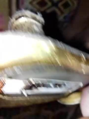 Gold sandal