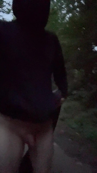Rizično hodanje