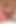 Kali Roses ,Bella Rolland and Brooke Banner are eating each other pussy on a live gold show