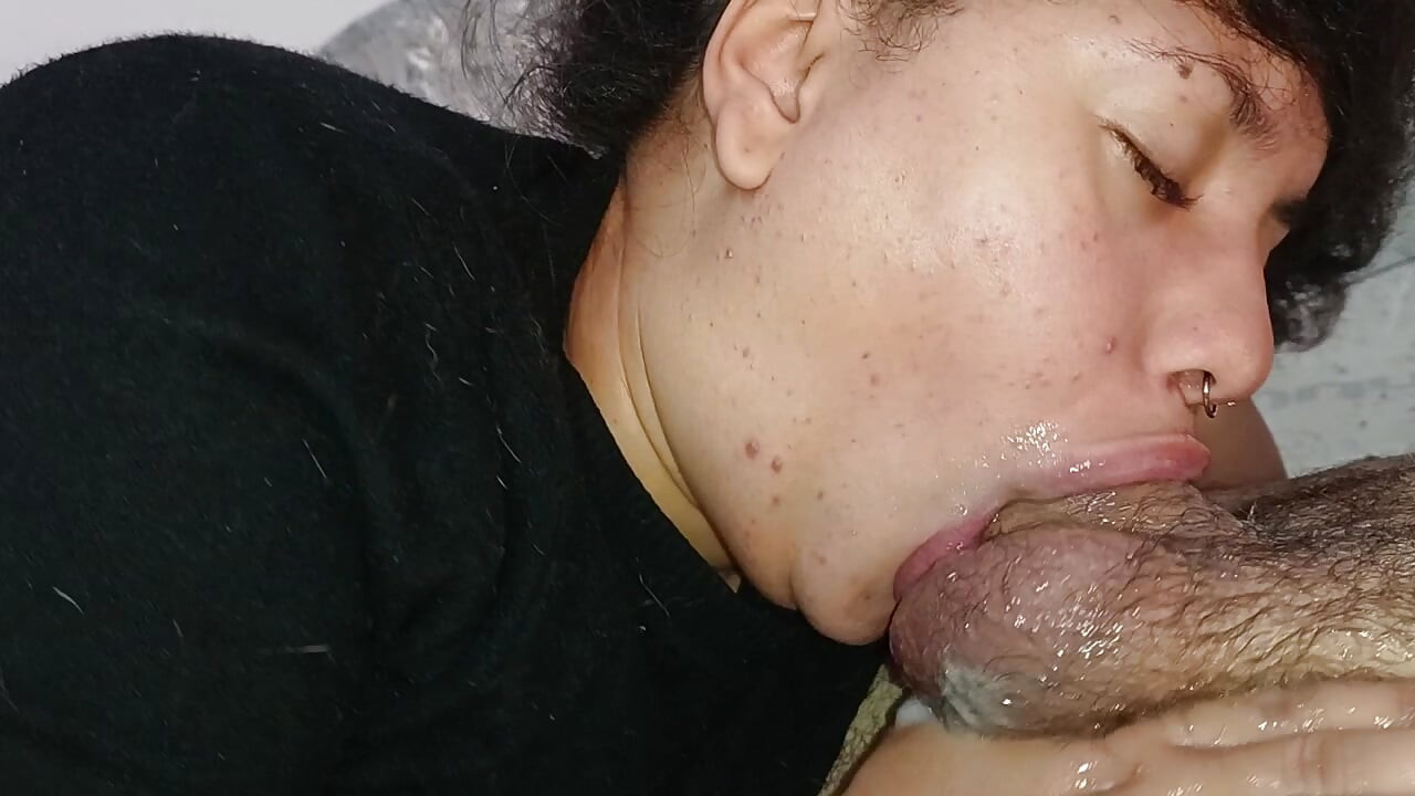 긴 혀가 뿔의 줄기, 뿔의 고환까지 핥는다
