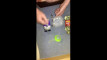 Pratonton Video